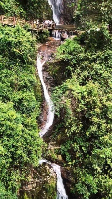 地球守护者